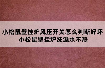 小松鼠壁挂炉风压开关怎么判断好坏 小松鼠壁挂炉洗澡水不热